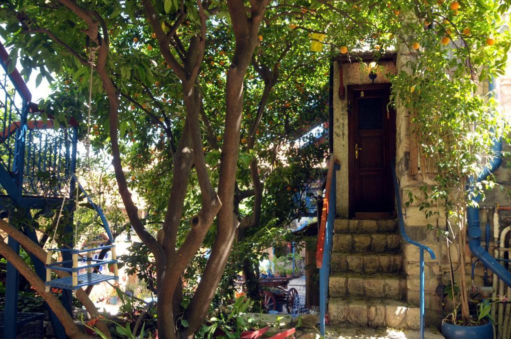 Villa Tehila - By V Club Chain Rosh Pinna Dış mekan fotoğraf