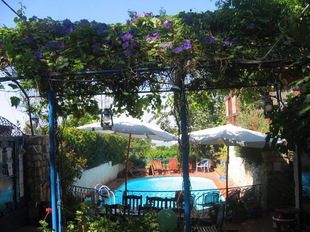 Villa Tehila - By V Club Chain Rosh Pinna Dış mekan fotoğraf